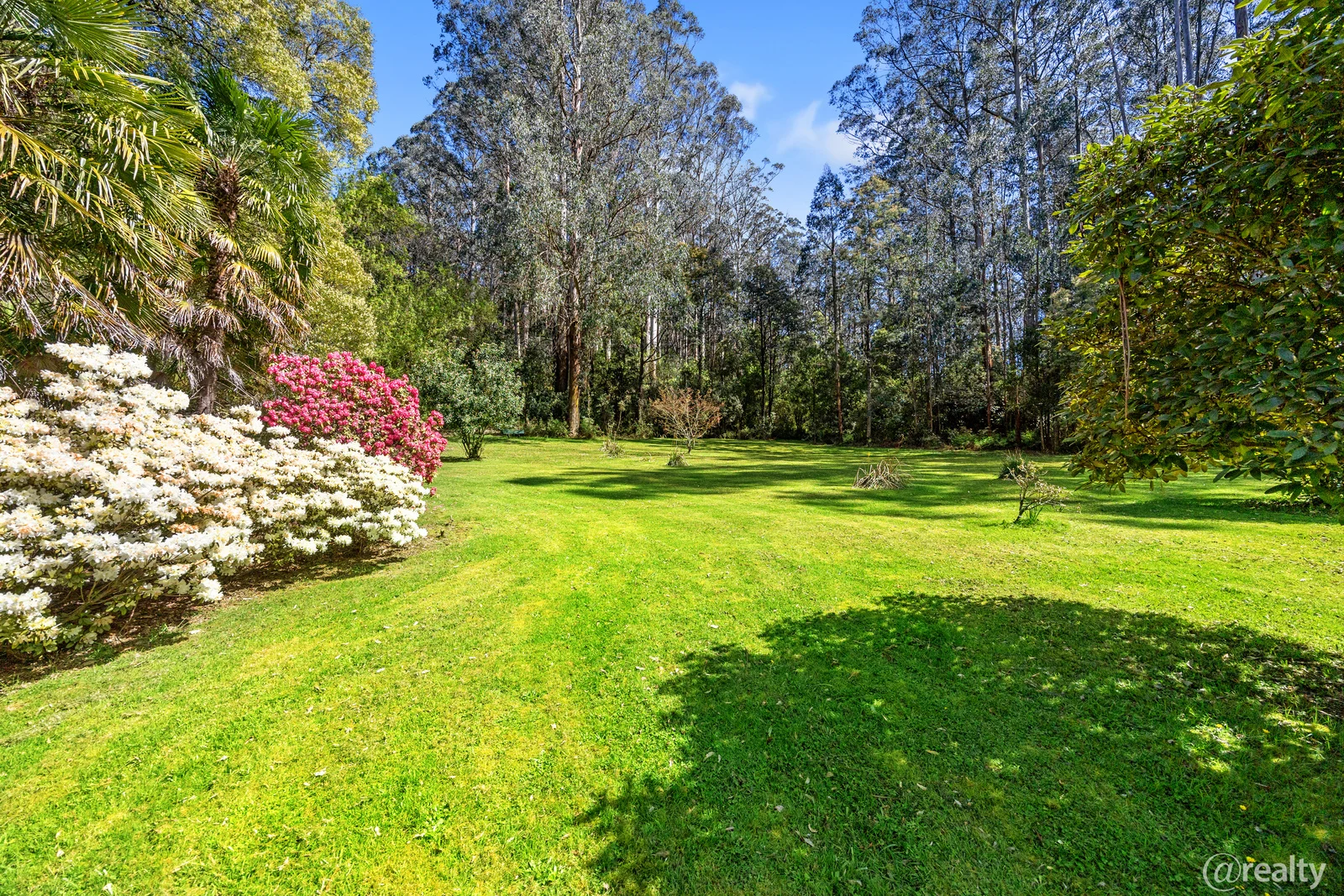 Additional image 25 of 3/987 Myers Creek Road, Toolangi VIC 3777