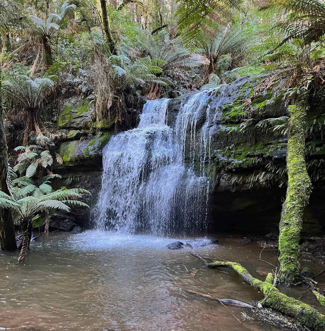 Additional image 10 of 5 Pound Road, Beech Forest VIC 3237