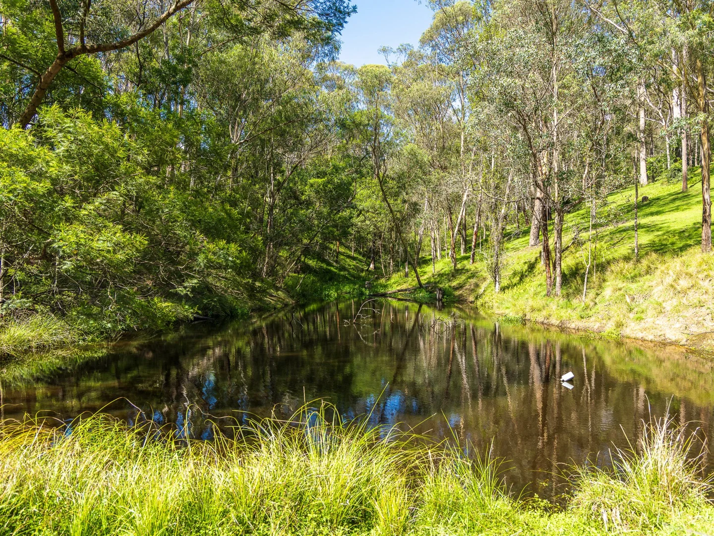 Additional image 34 of 660 Hawks Head Road, Brogo NSW 2550