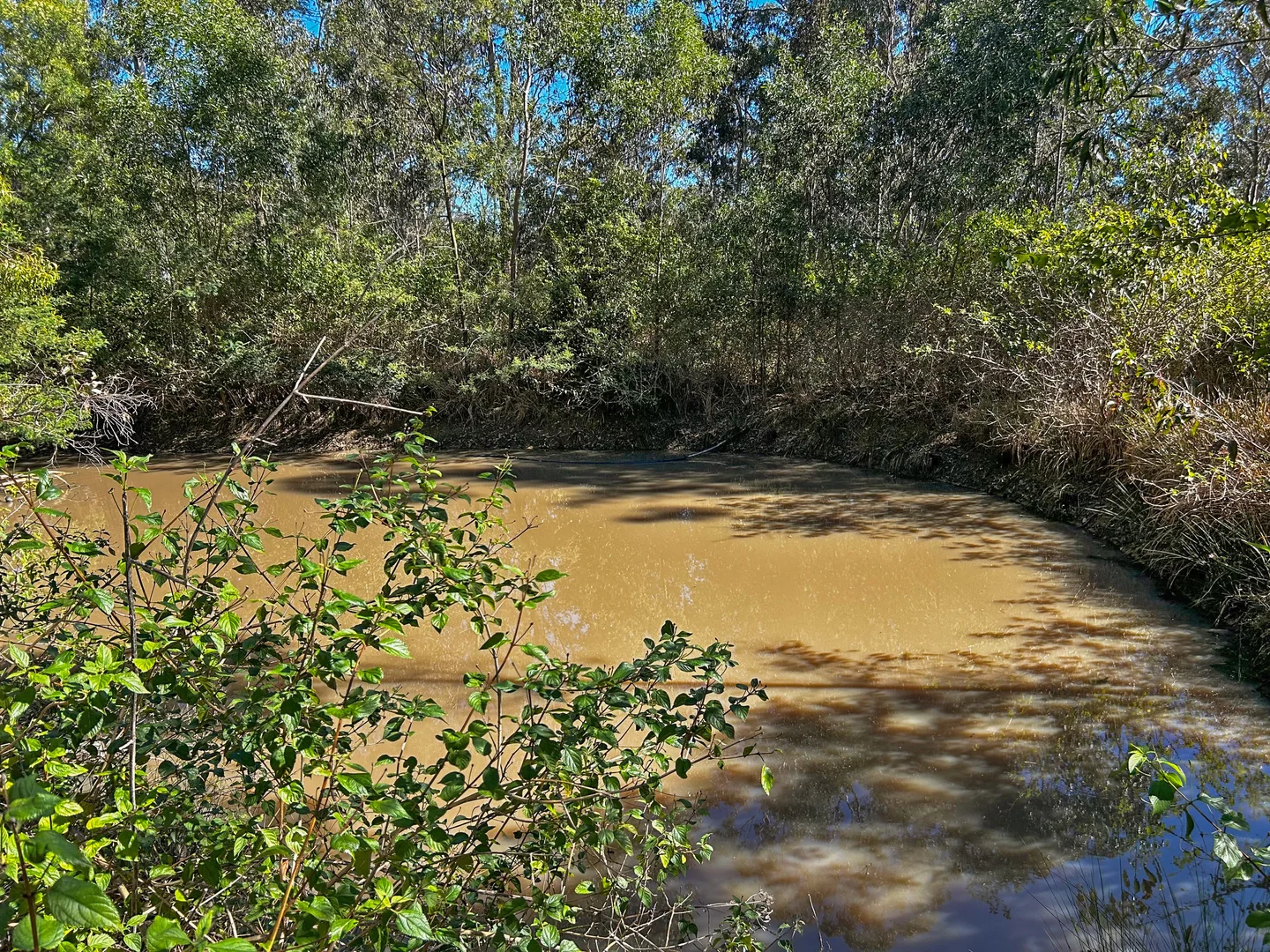 Additional image 5 of 506 Old Lawrence Road, Casino NSW 2470