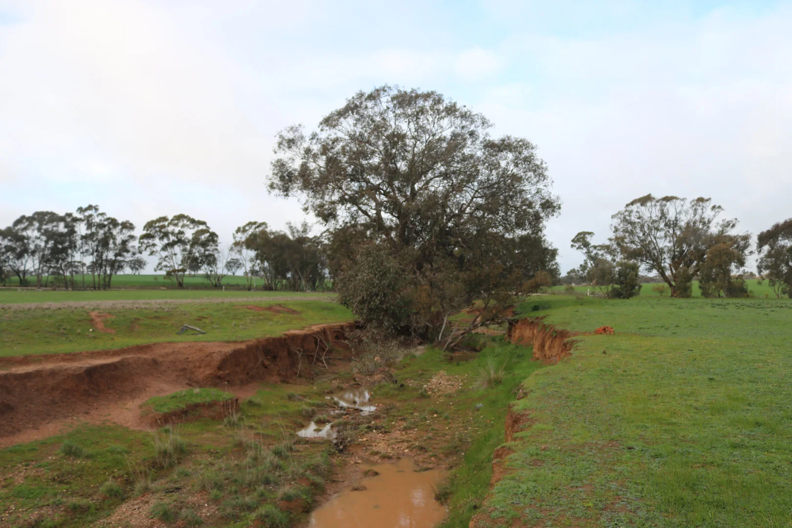 Additional image 14 of Nine Mile-Berrimal Road, Nine Mile VIC 3518