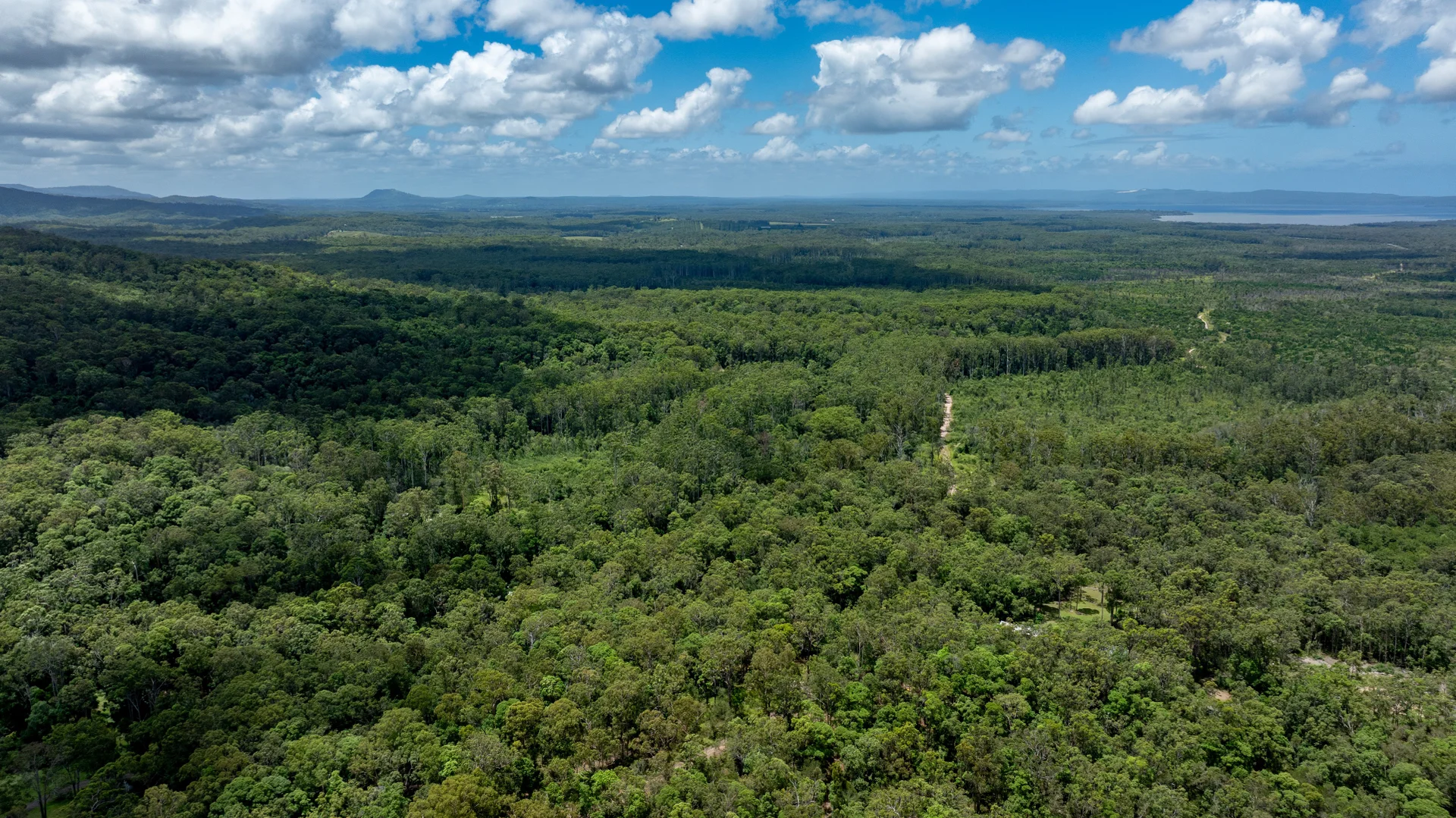 Additional image 34 of 272 Ringtail Creek Road, Ringtail Creek QLD 4565