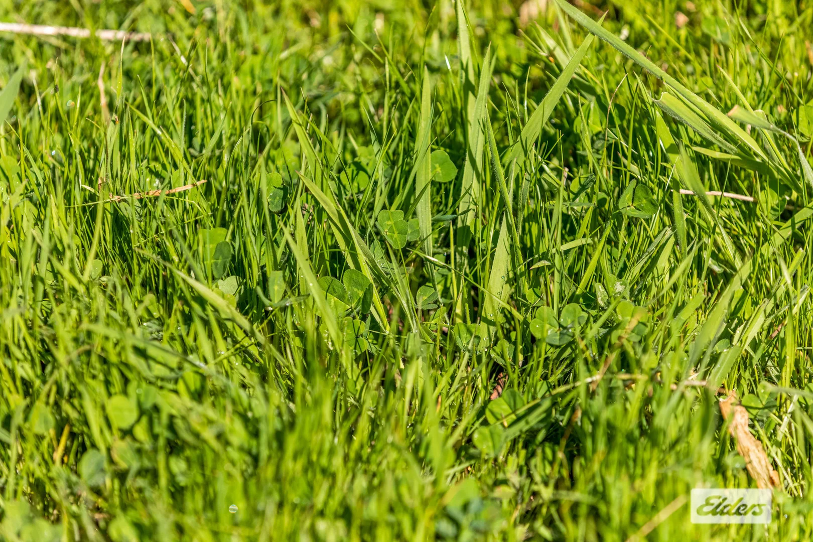 Additional image 3 of Heathcote-Redesdale Road, Mia Mia VIC 3444