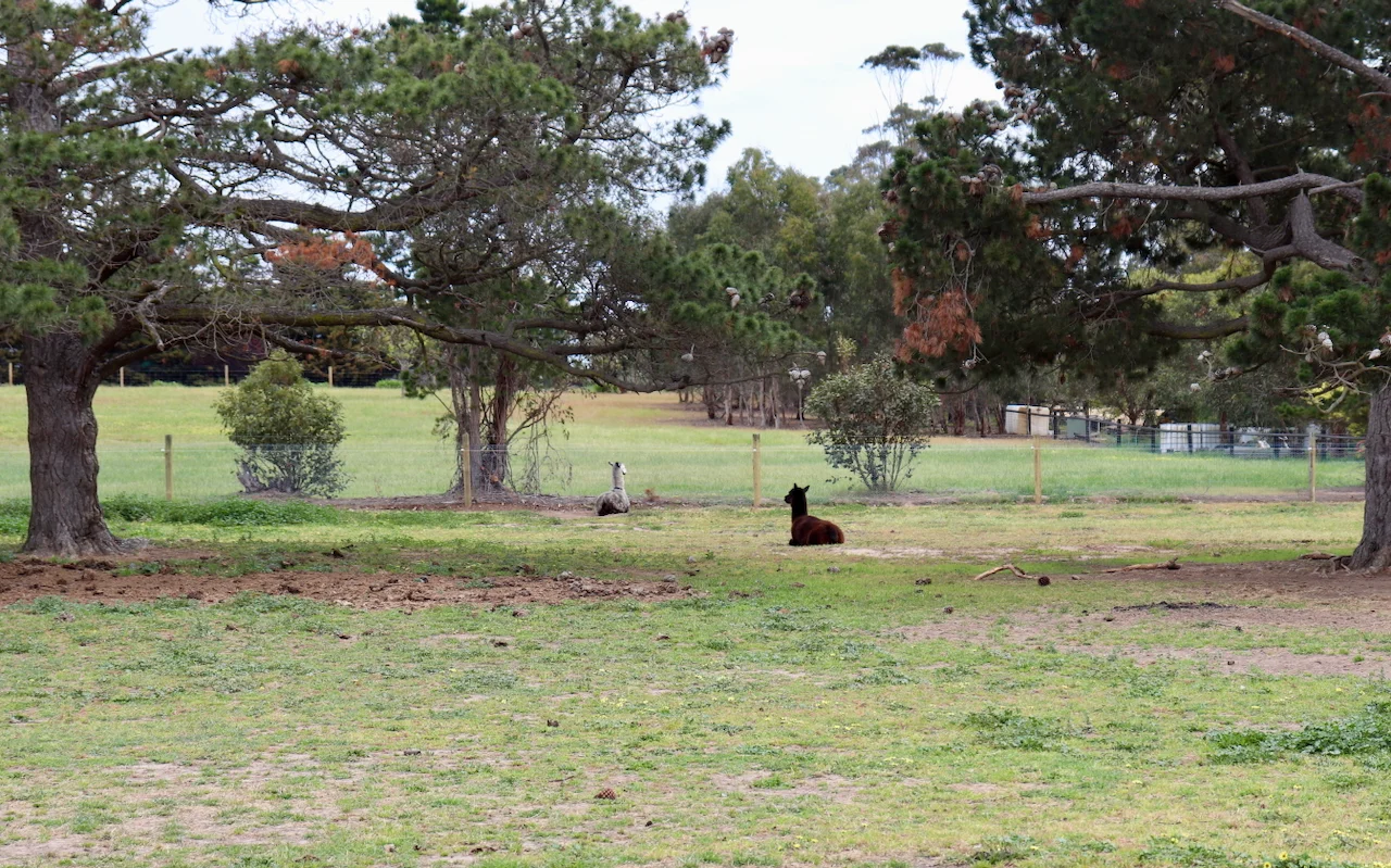 Additional image 19 of 3102 Hamilton Highway, Inverleigh VIC 3321