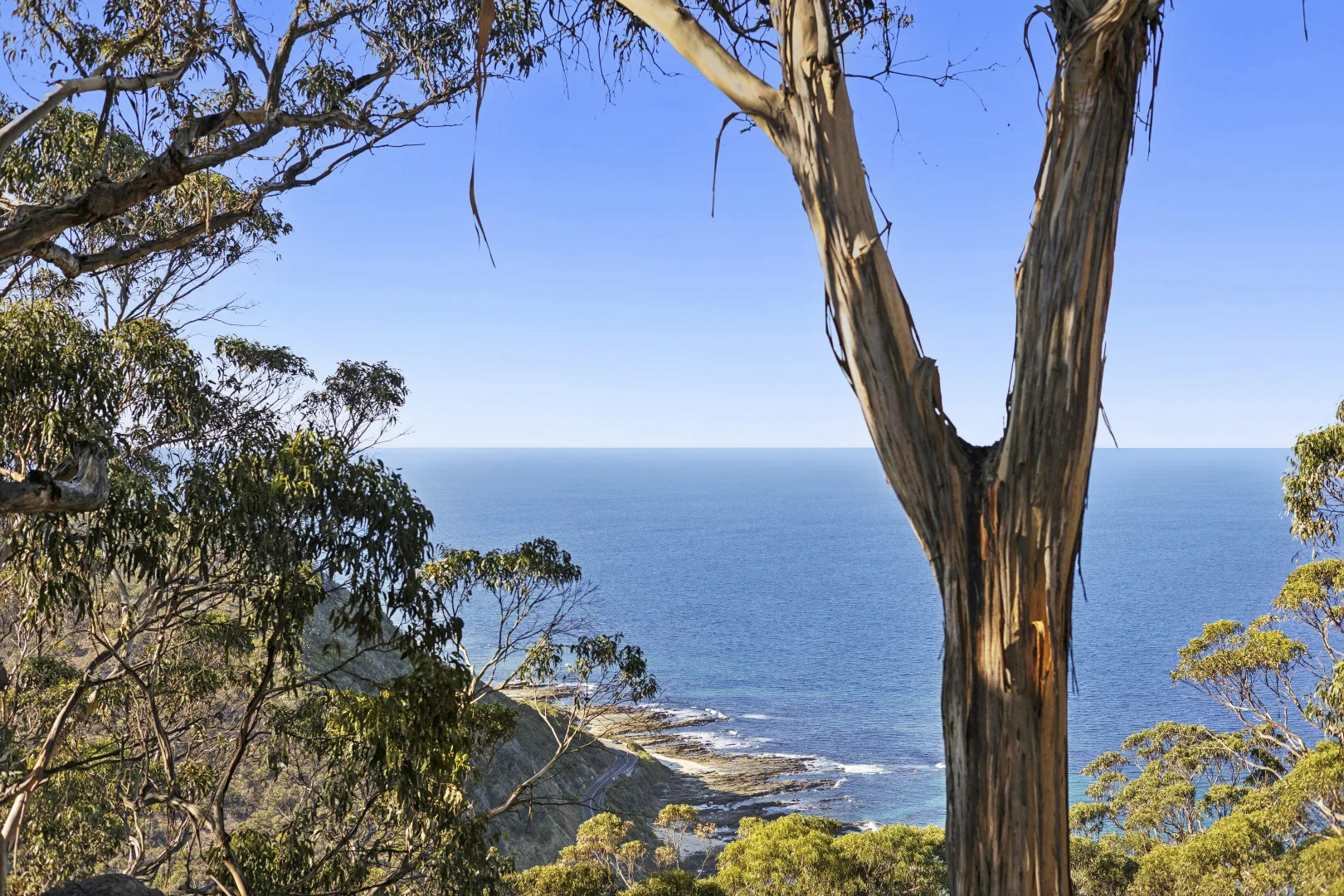 Additional image 21 of 2314 Great Ocean Road, Lorne VIC 3232