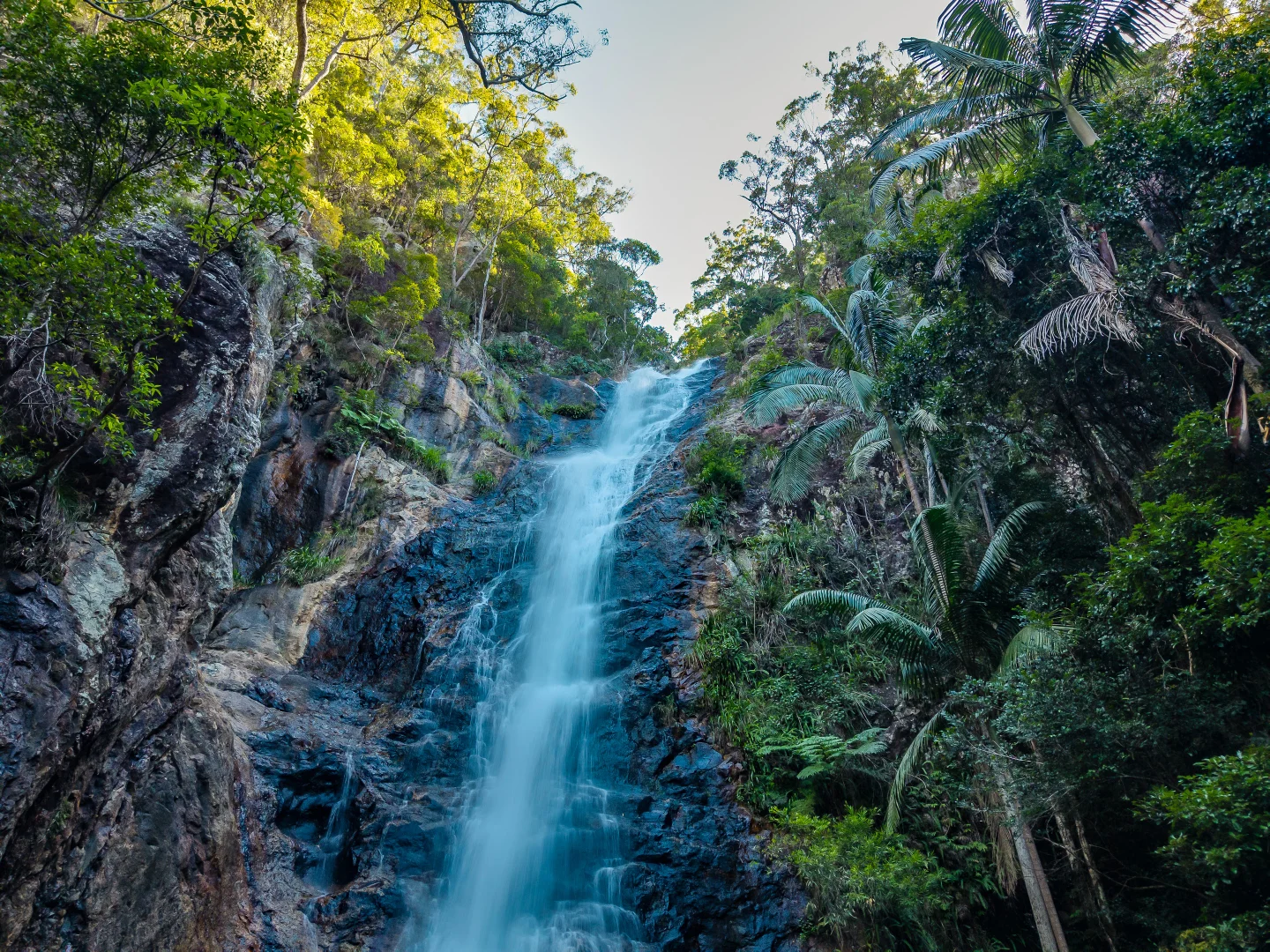 Additional image 39 of 196-276 Kaiser Road, Tamborine Mountain QLD 4272
