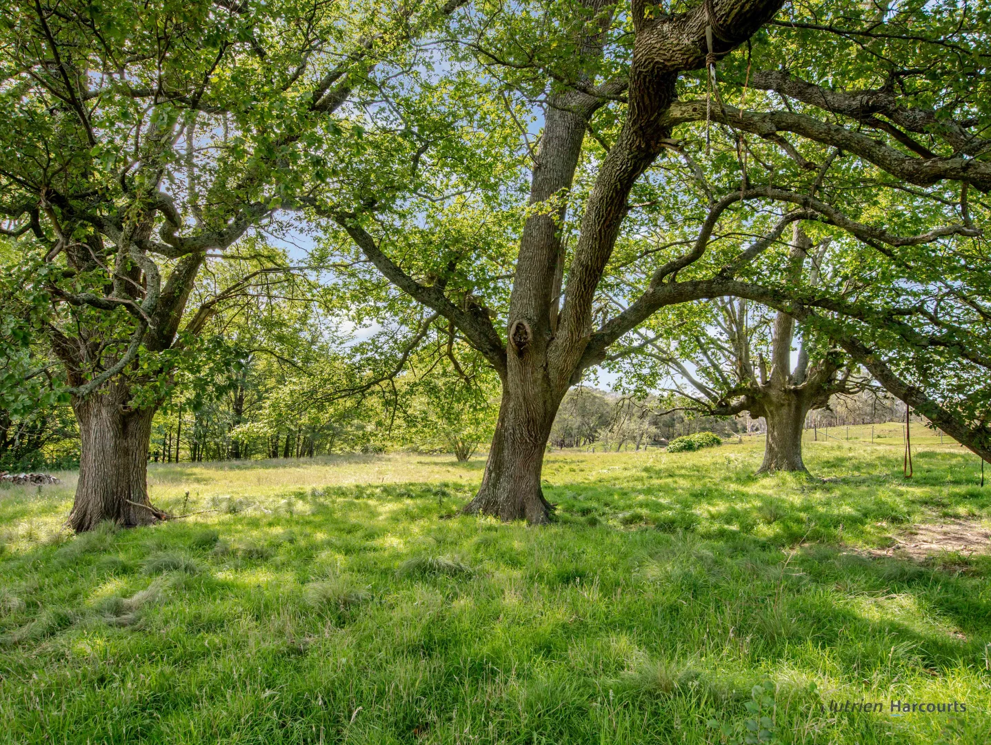 Additional image 35 of 106 Cawthornes Lane, Braidwood NSW 2622