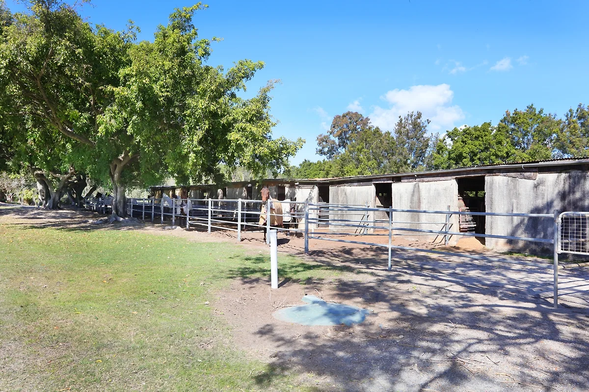 Additional image 19 of 1717 Stapylton Jacobs Well Road, Jacobs Well QLD 4208