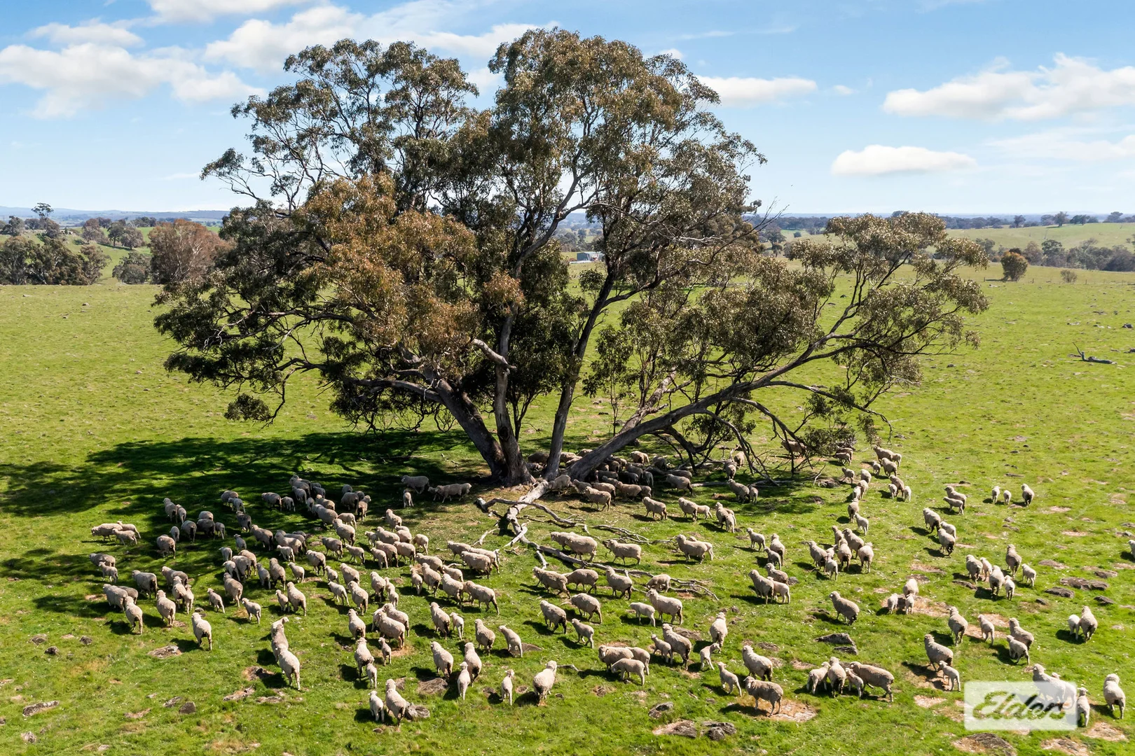 Additional image 7 of Heathcote-Redesdale Road, Mia Mia VIC 3444