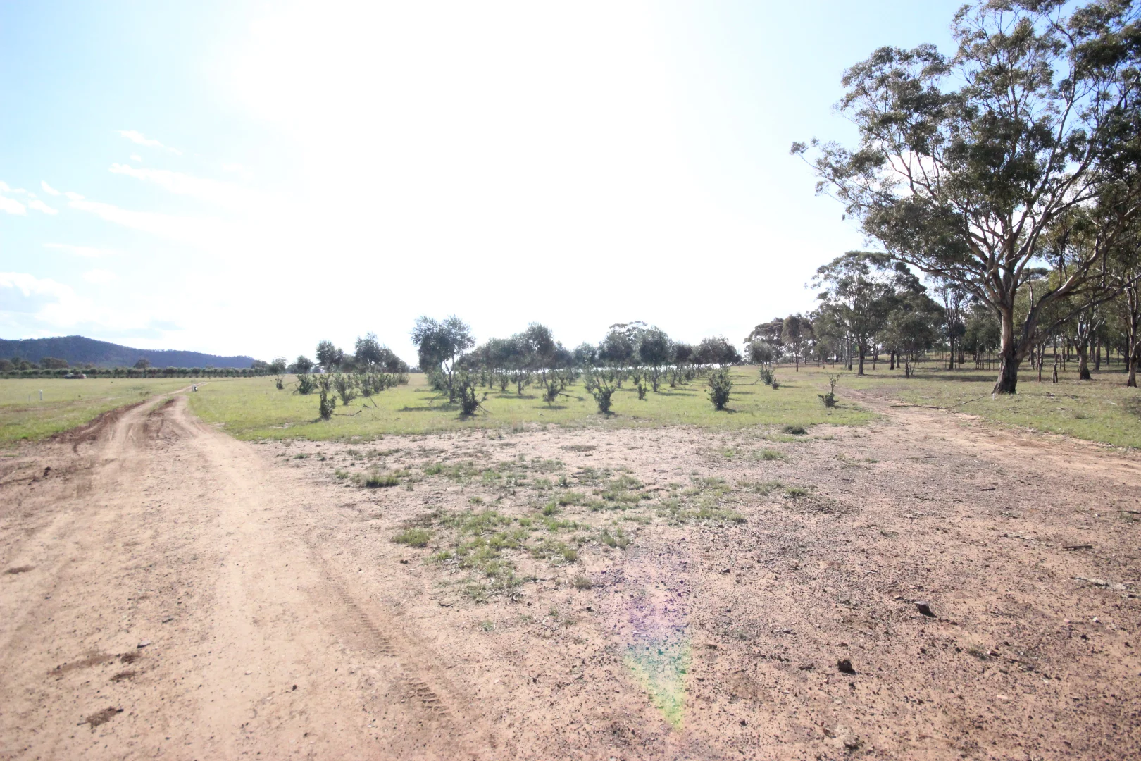 Additional image 32 of 207 Redmanvale Road, Jerrys Plains NSW 2330