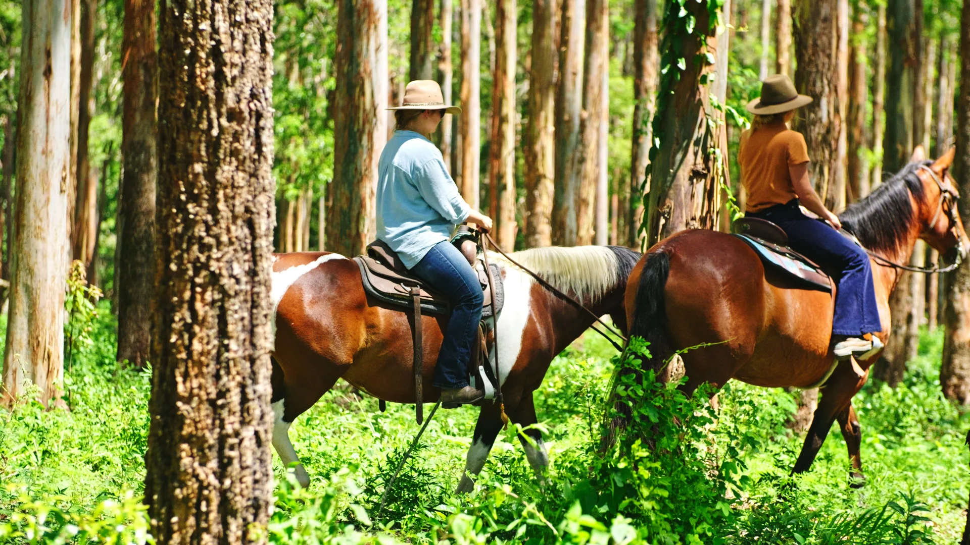 Additional image 13 of 2981 Kyogle Road, Kunghur NSW 2484