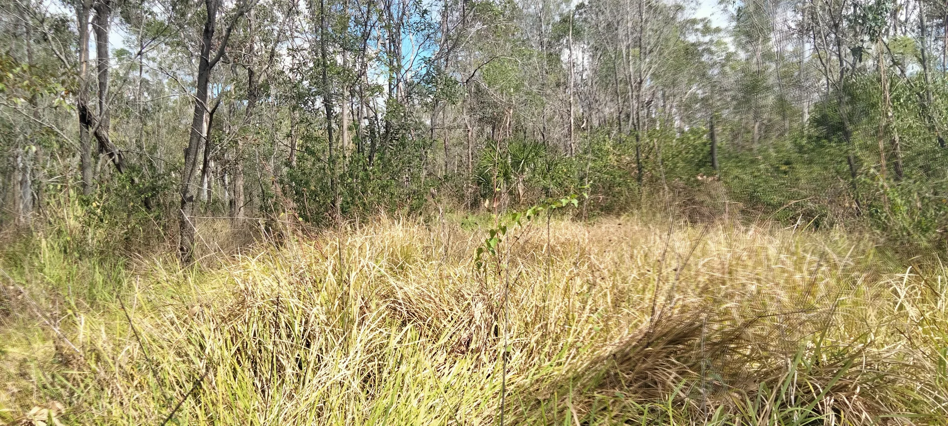 Additional image 15 of 3359 Lowmead Road, Lowmead QLD 4676