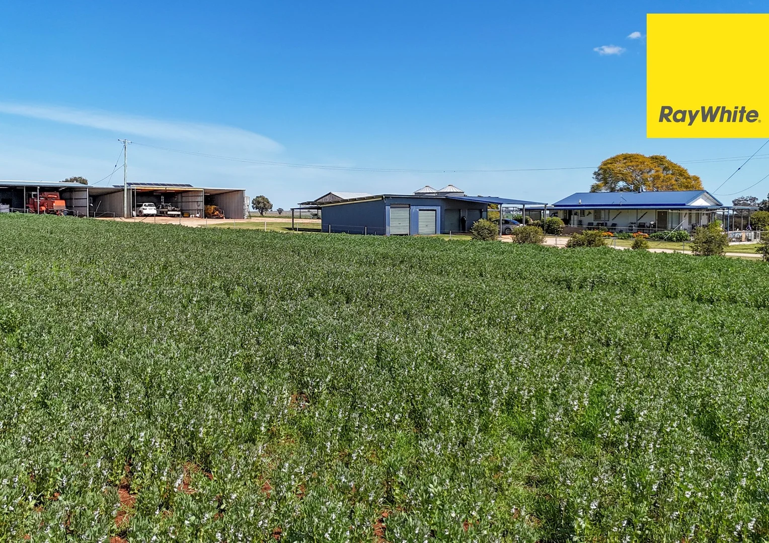 Additional image 15 of 'Colorado' Delungra Bypass Road, Delungra NSW 2403