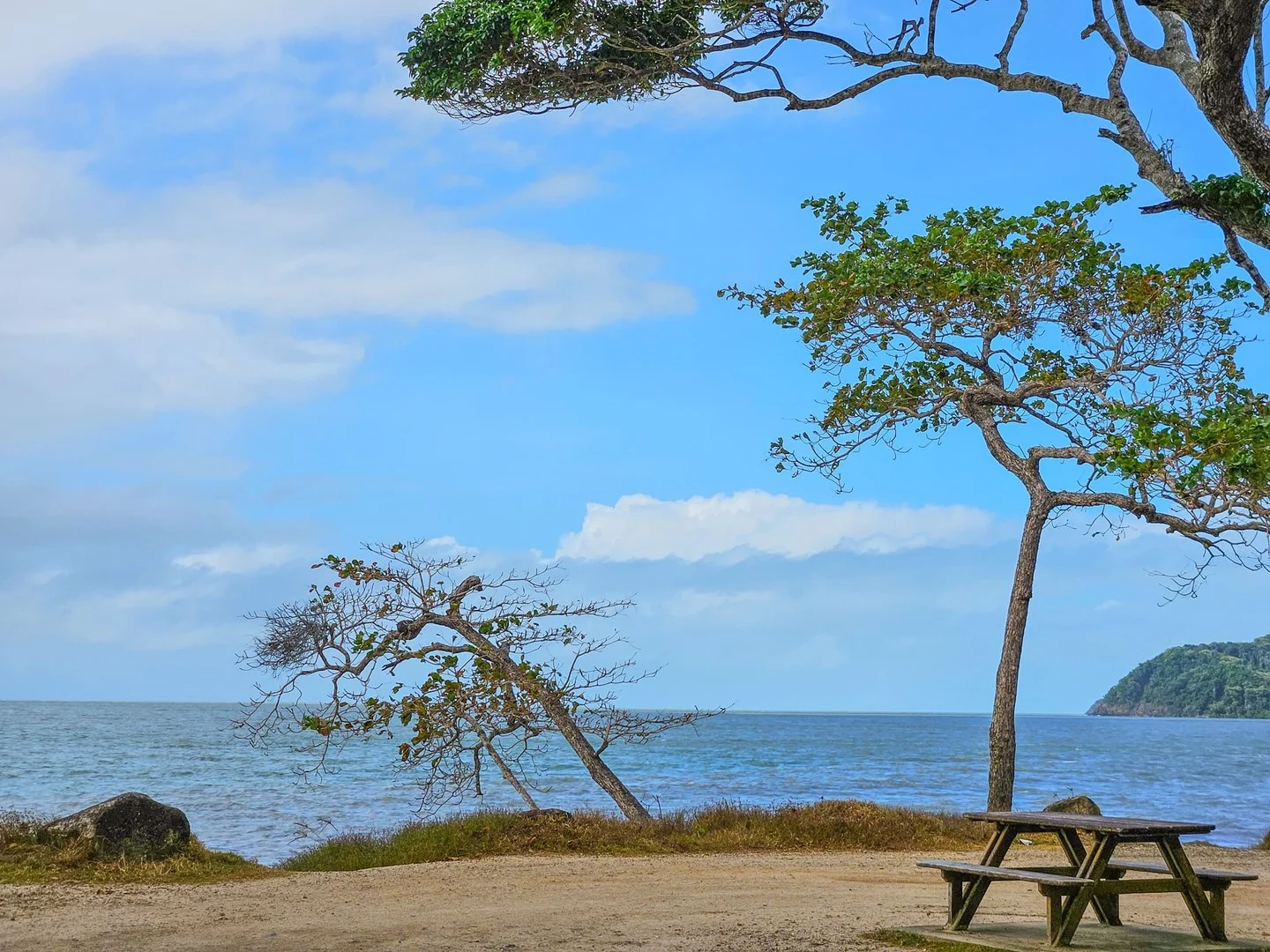 29 Weary Bay Road, Bloomfield QLD 4895