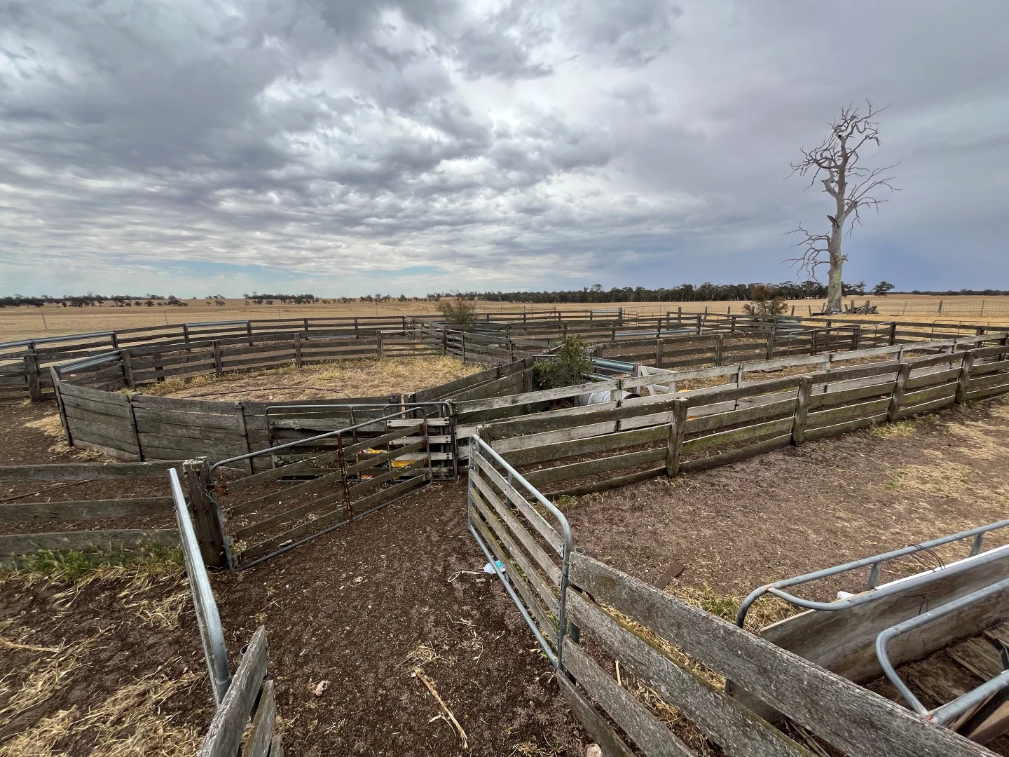 Additional image 9 of 81 Mosgiel Road, Tenterden WA 6322