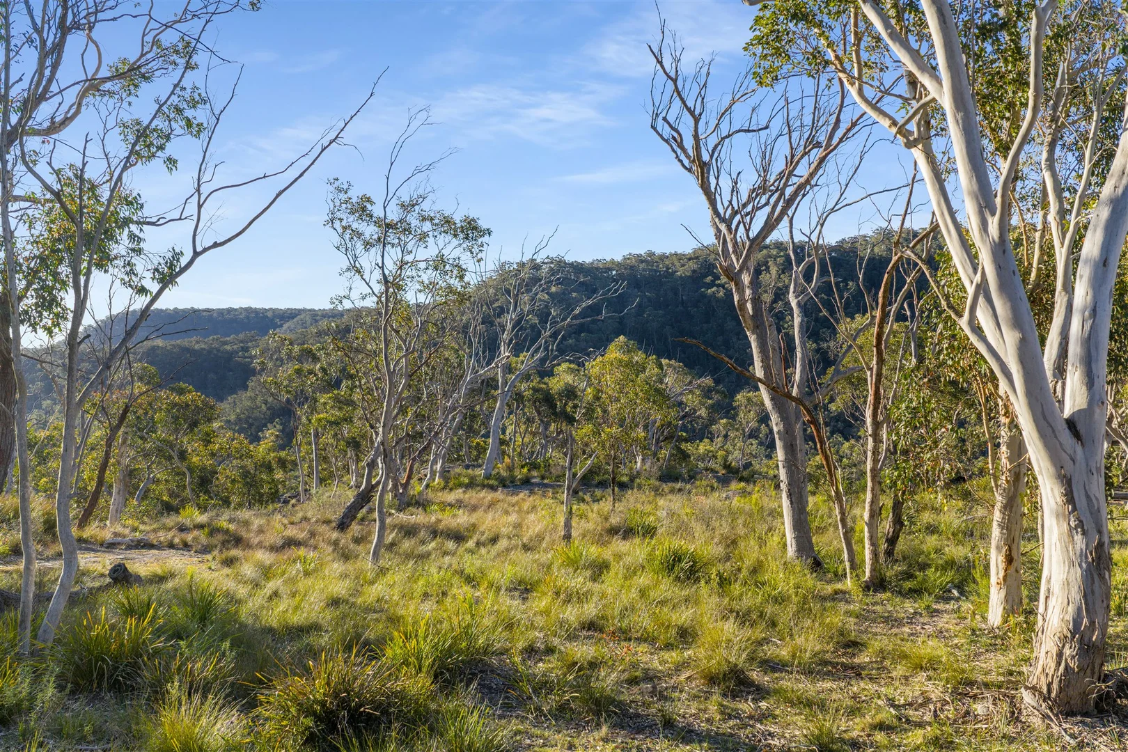 Additional image 26 of Belanglo NSW 2577