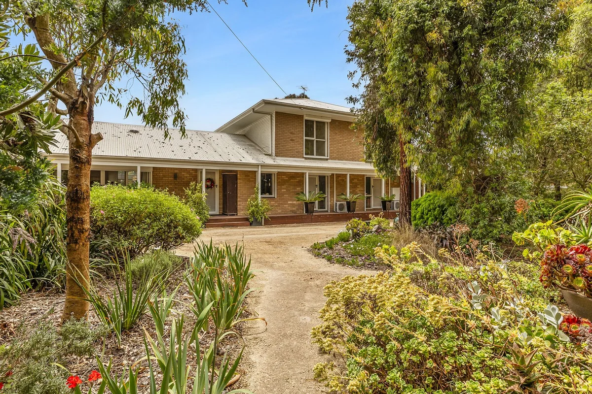 15 Aquarius Avenue, Torquay VIC 3228