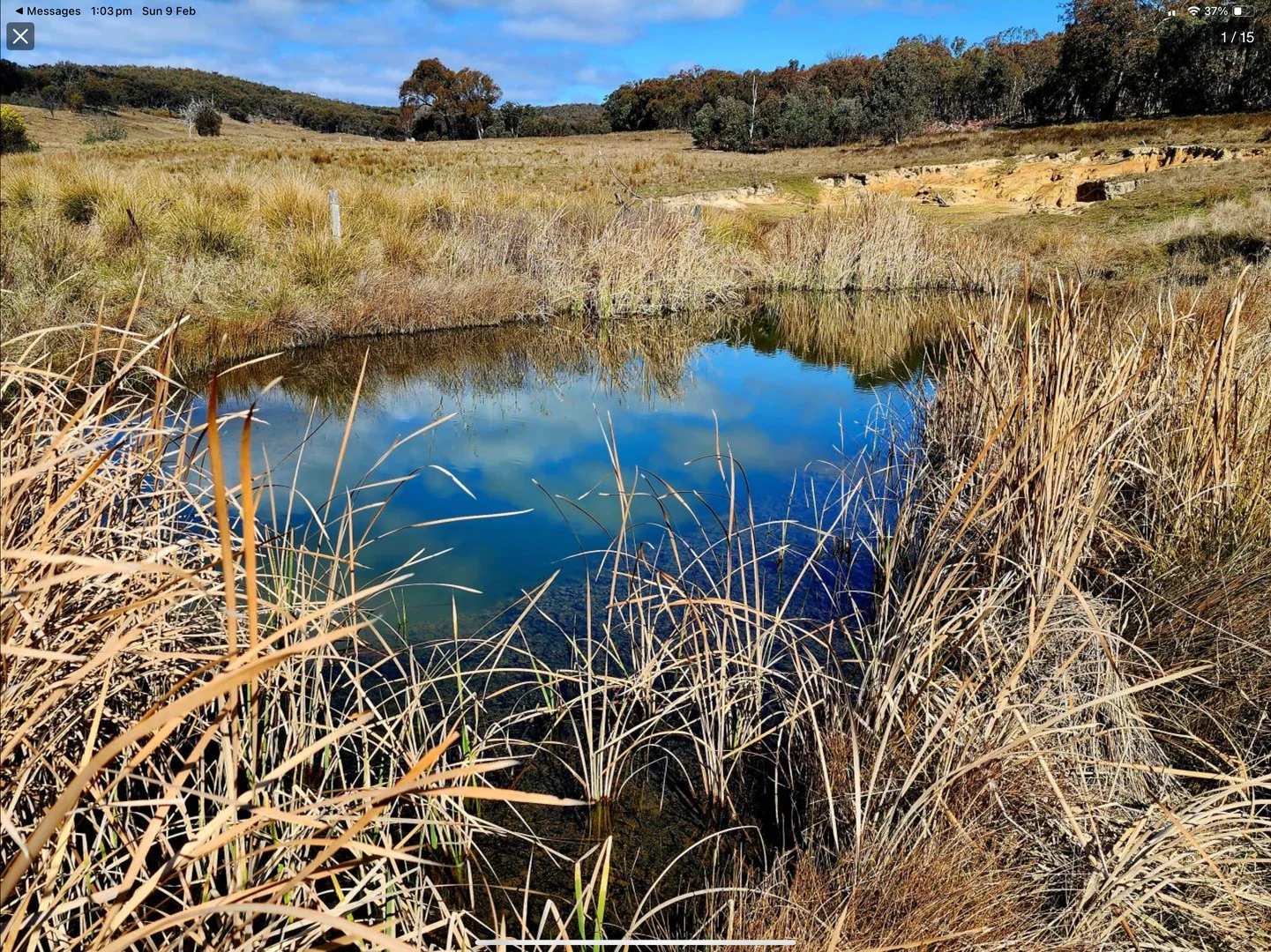 Additional image 4 of "Cummings Gap" Ullamalla road, Mudgee NSW 2850