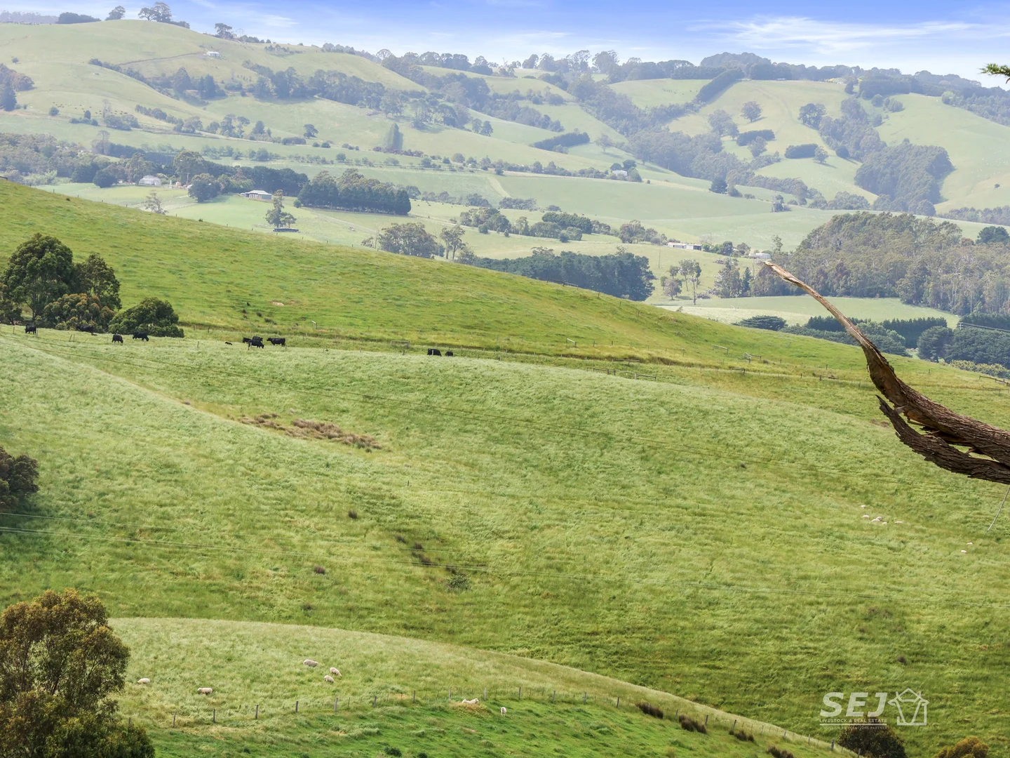 Additional image 16 of 1510 Meeniyan-Mirboo North Road, Dumbalk VIC 3956