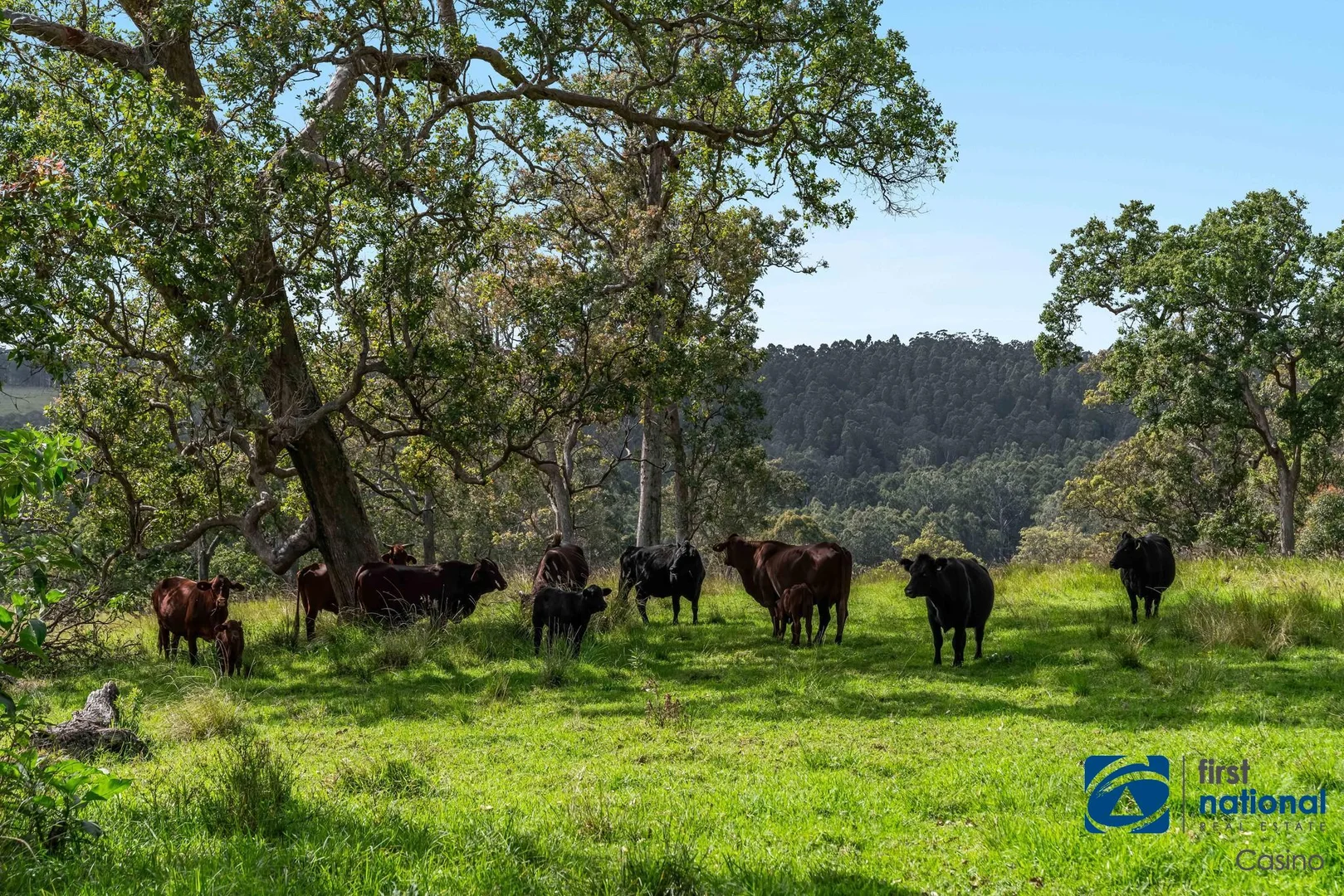 Additional image 27 of 1212 Beaury Creek Road, Urbenville NSW 2475