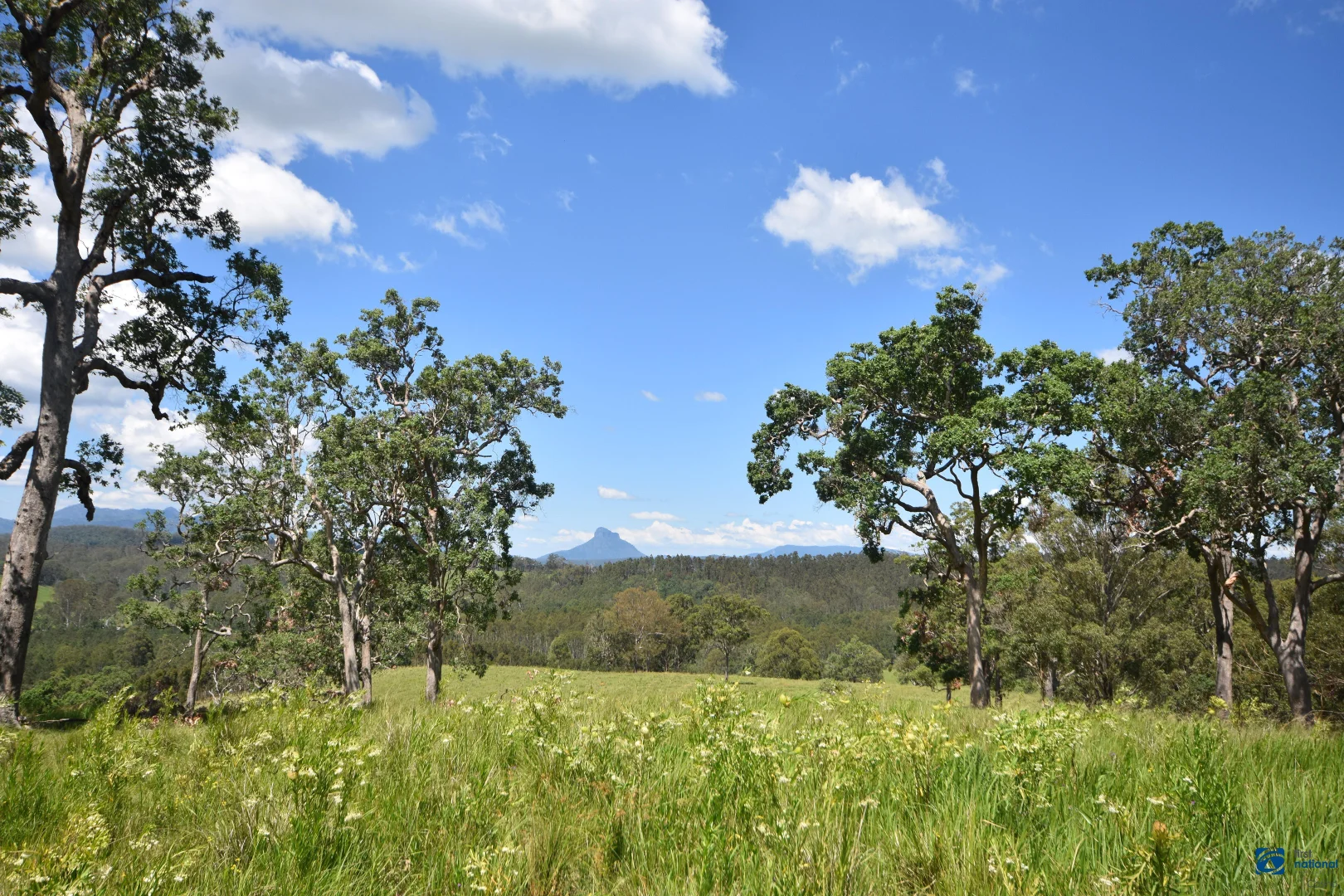 Additional image 22 of 1212 Beaury Creek Road, Urbenville NSW 2475