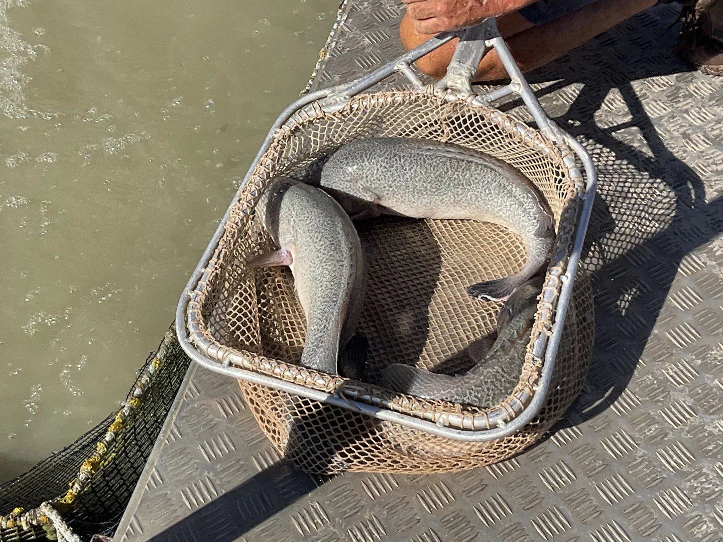 Additional image 15 of 187 Morley Road, Yoogali NSW 2680