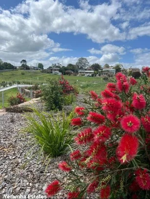 Additional image 3 of 31 WALLIS STREET, East Maitland NSW 2323