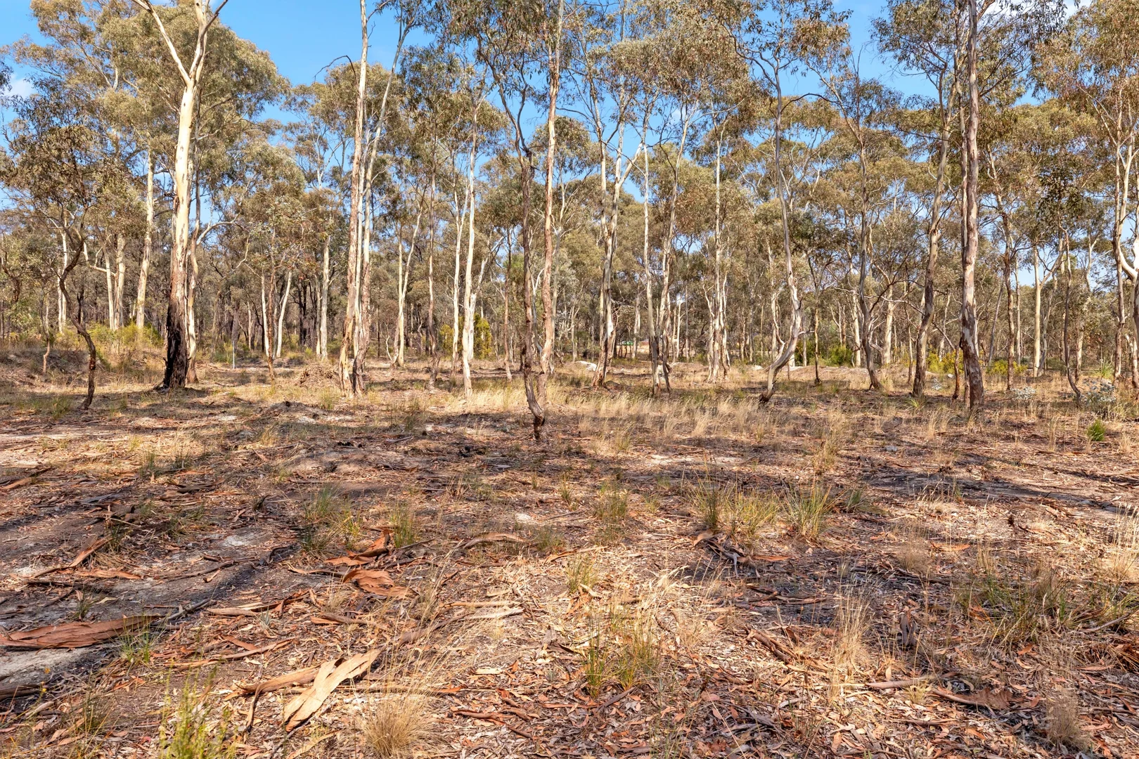 Additional image 6 of 16-20 Williams Road, Myers Flat VIC 3556