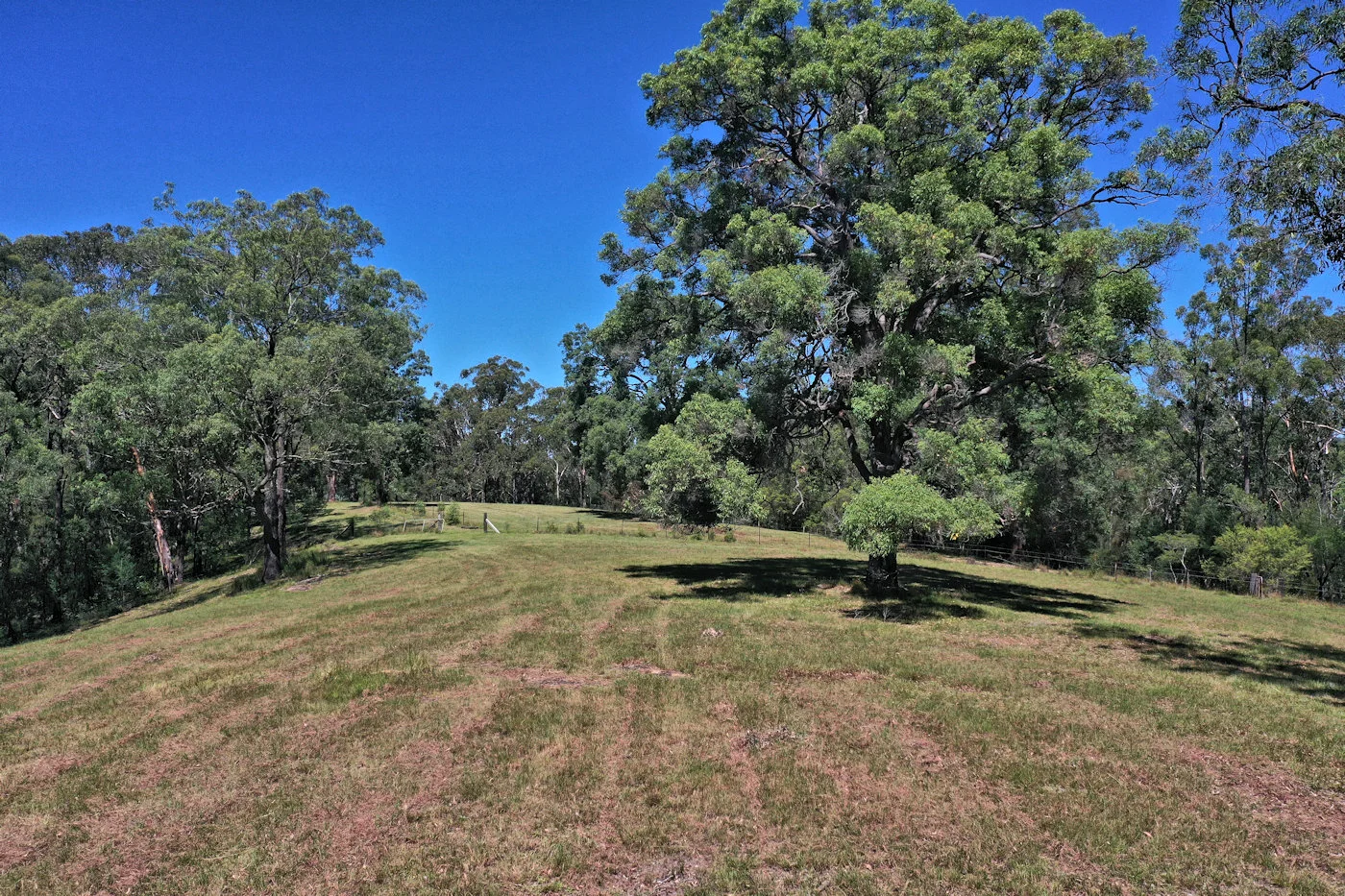Additional image 5 of 167 Middle Ridge Road, Wollombi NSW 2325