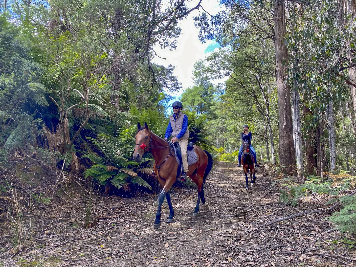 Additional image 44 of 304 Dickensons Creek Road, Glen Huon TAS 7109