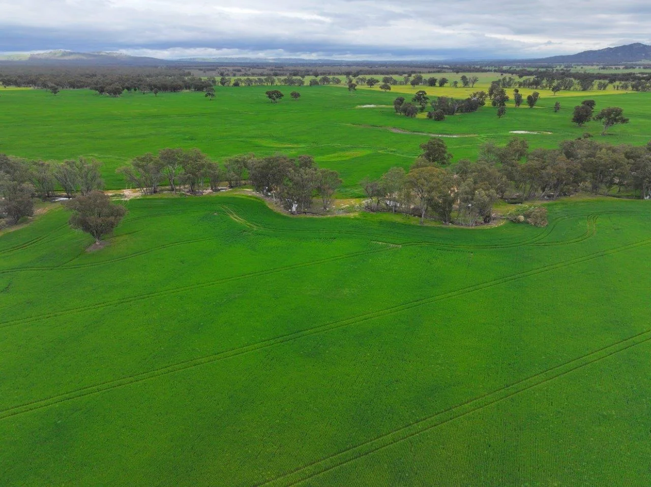 Additional image 10 of -- Brenanah-Kurting Road, Kurting VIC 3517