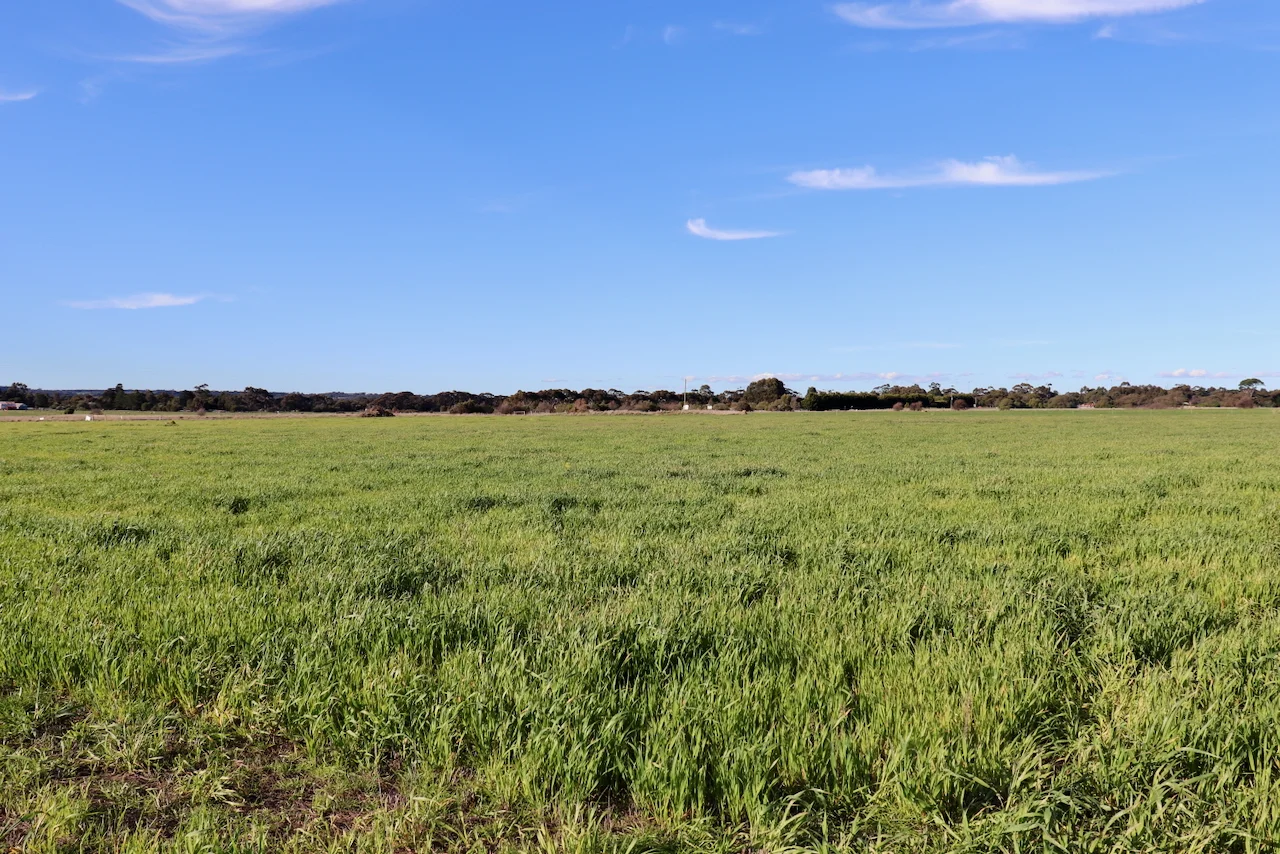 Additional image 7 of 1, 2, 3 &, 4 COLAC-BALLARAT ROAD, Rokewood VIC 3330