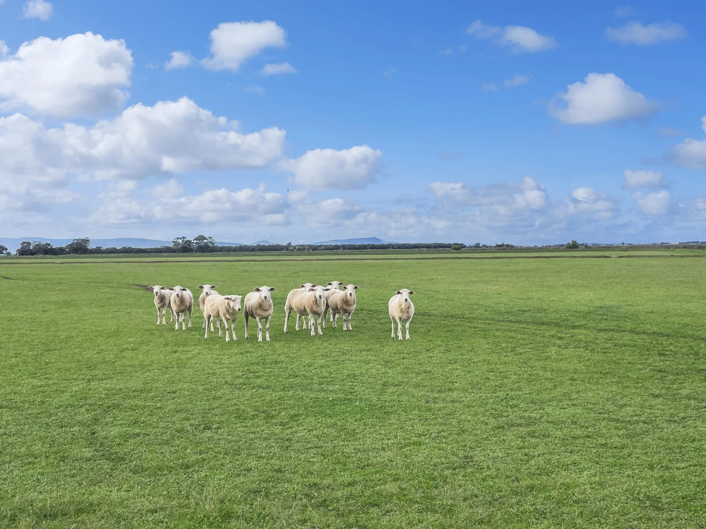 Additional image 13 of 12 Fowler Road, Beelbangera NSW 2680