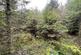 Additional image 7 of Maudland, Rhos, Carmarthenshire SA33
