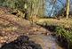 Additional image 9 of Needlewood Grove, Redditch, Worcestershire B48