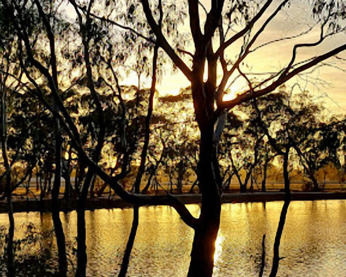 Additional image 7 of 45 Densley Avenue, Bordertown SA 5268