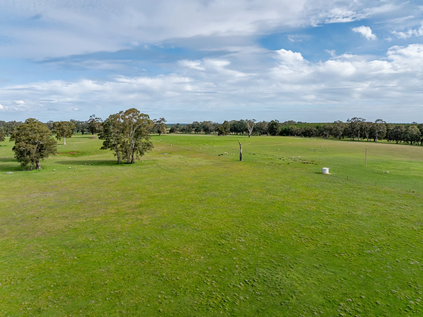 Additional image 19 of 219 Ockley Rd, Comaum SA 5277