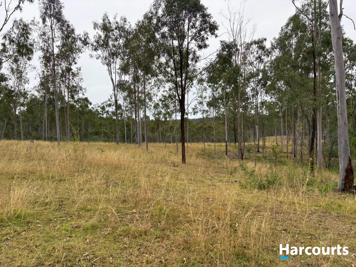 Additional image 15 of Lot 38 TENNINGERING ROAD, Good Night QLD 4671