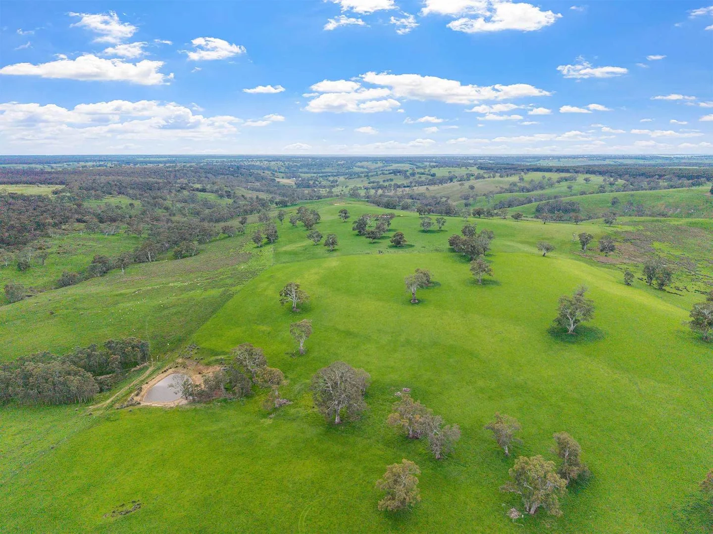 Additional image 17 of 3786 Casterton Edenhope Road, Chetwynd VIC 3312