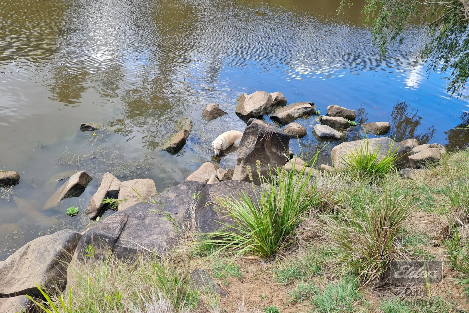 Additional image 29 of 286 Scotchy Pocket Road, Scotchy Pocket QLD 4570