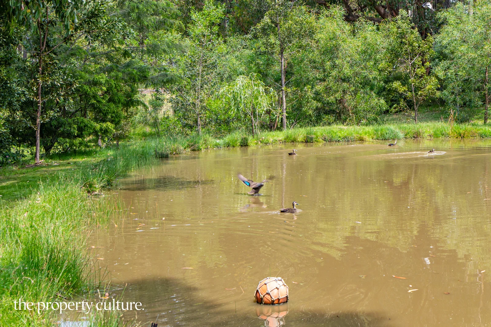 Additional image 24 of 150 Morrisons Road, Huonville TAS 7109