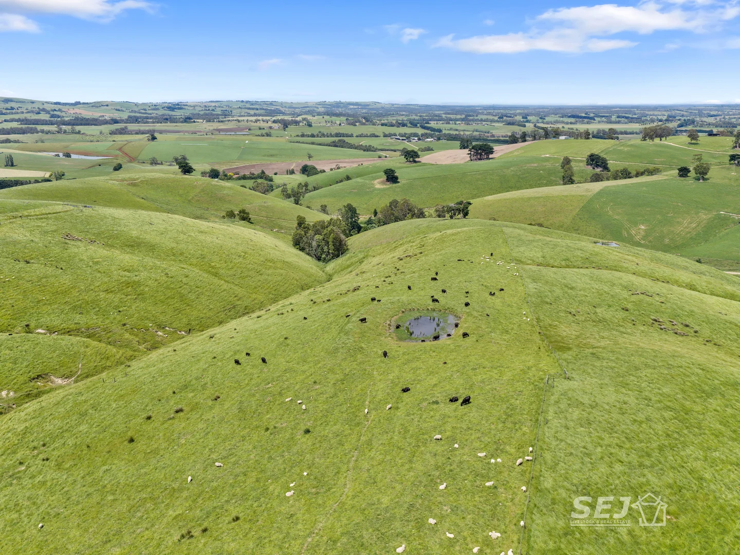 Additional image 11 of 1510 Meeniyan-Mirboo North Road, Dumbalk VIC 3956