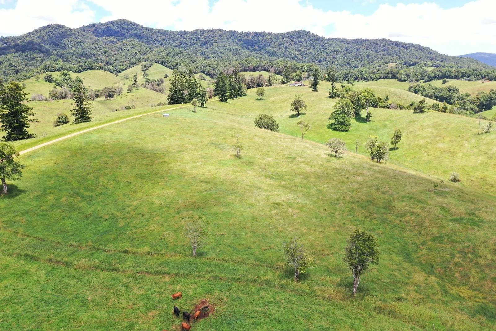 Additional image 14 of 780 MIDDLEBROOK ROAD, Millaa Millaa QLD 4886