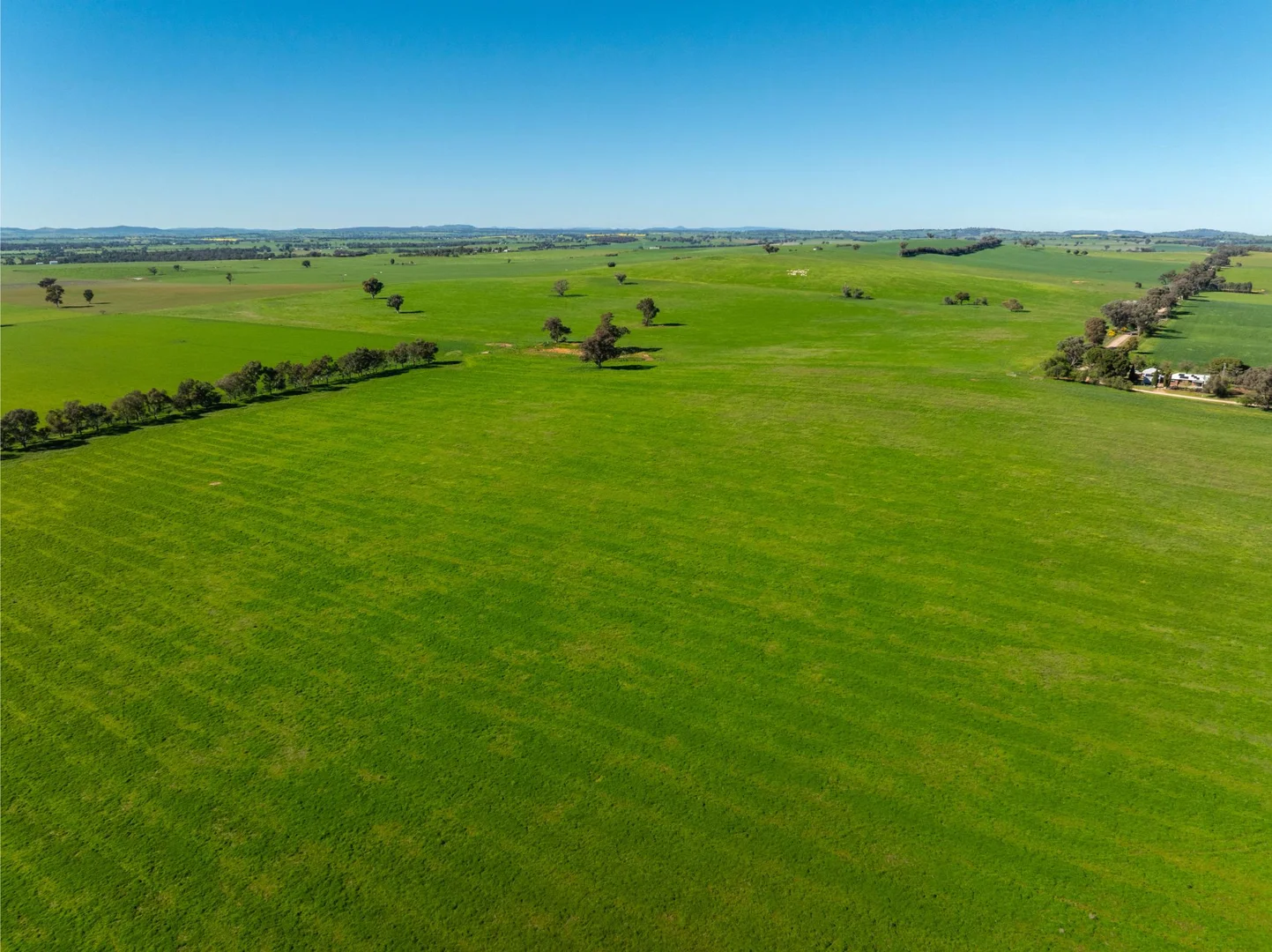 Additional image 13 of 272 Bulloc Hill Road, Mangoplah NSW 2652