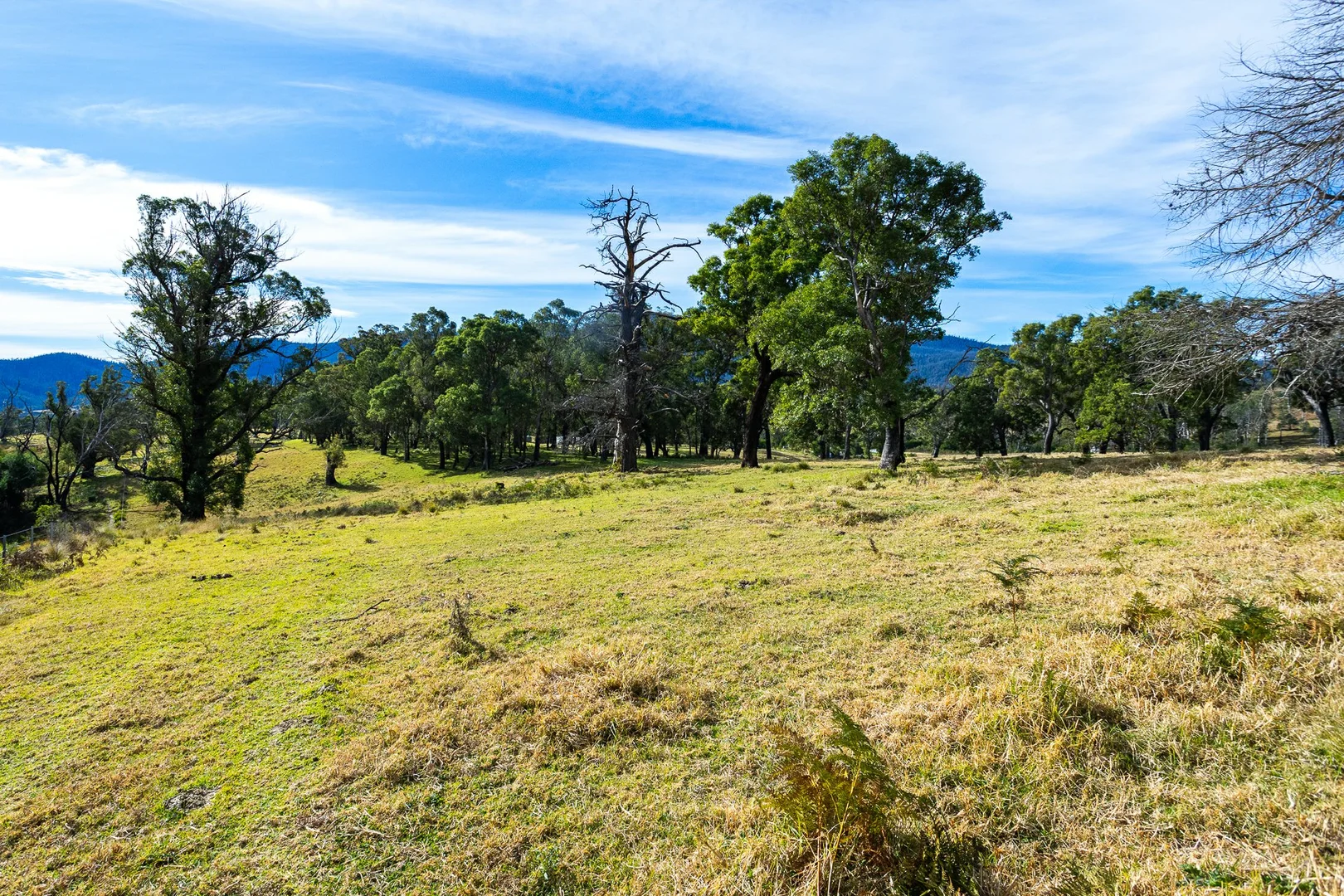 Additional image 19 of Lot 63 Watts Road, Cobargo NSW 2550