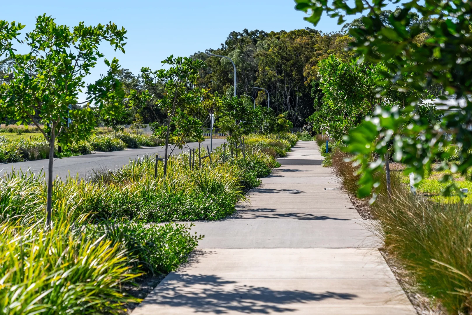 Additional image 3 of Birrigan Iluka Beach Hickey Street, Iluka NSW 2466
