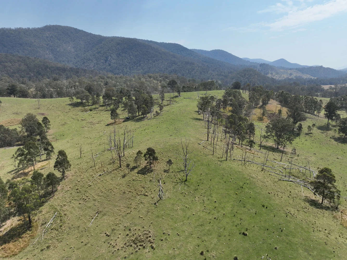 Additional image 10 of 100 Moogem Road, Moogem NSW 2370