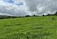 Additional image 2 of Penrallt Dolau, Clydey, SA35