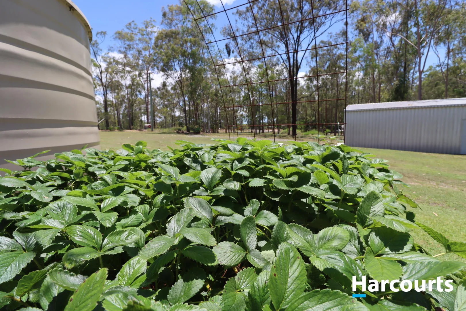 Additional image 21 of 185 Gentle Annie Road, Apple Tree Creek QLD 4660