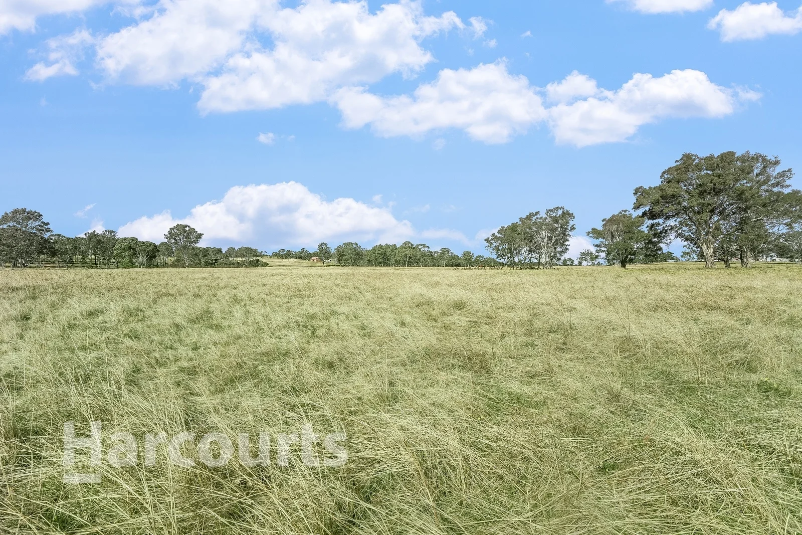 Additional image 4 of 55 Nightingale Road, Pheasants Nest NSW 2574